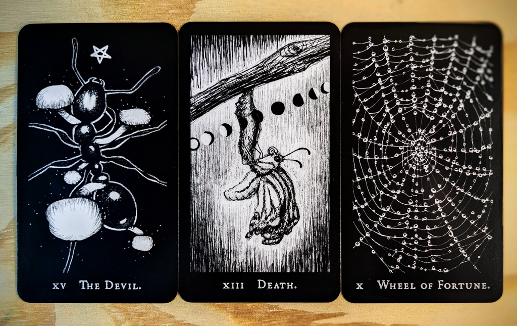 Hemiptarot - The Insect Tarot Deck | Kickstarter Leftover Stock!