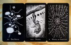 Hemiptarot - The Insect Tarot Deck | Kickstarter Leftover Stock!