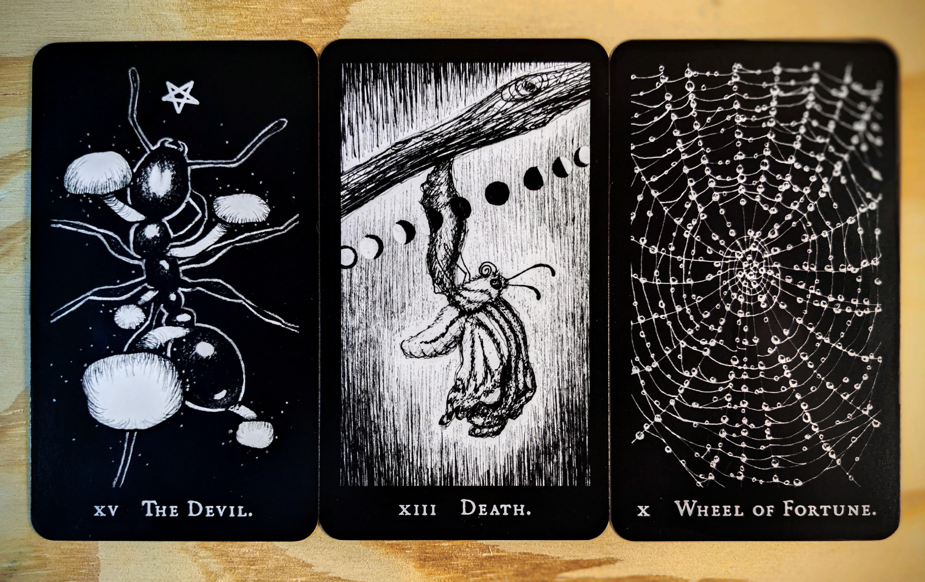 Hemiptarot - The Insect Tarot Deck | Kickstarter Leftover Stock!