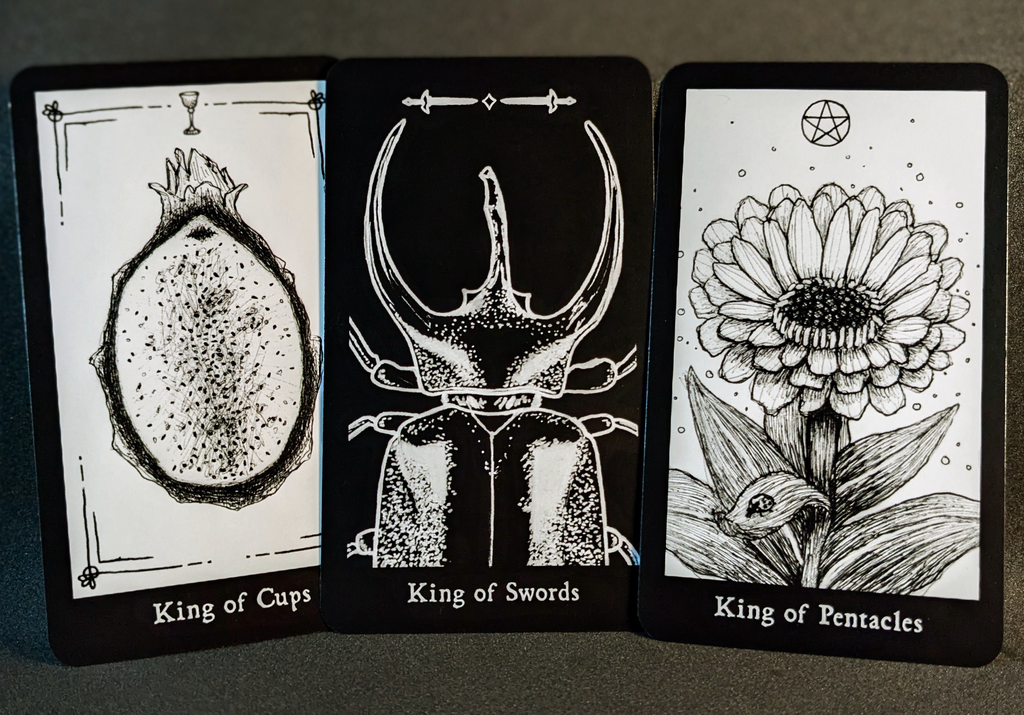 Hemiptarot - The Insect Tarot Deck | Kickstarter Leftover Stock!