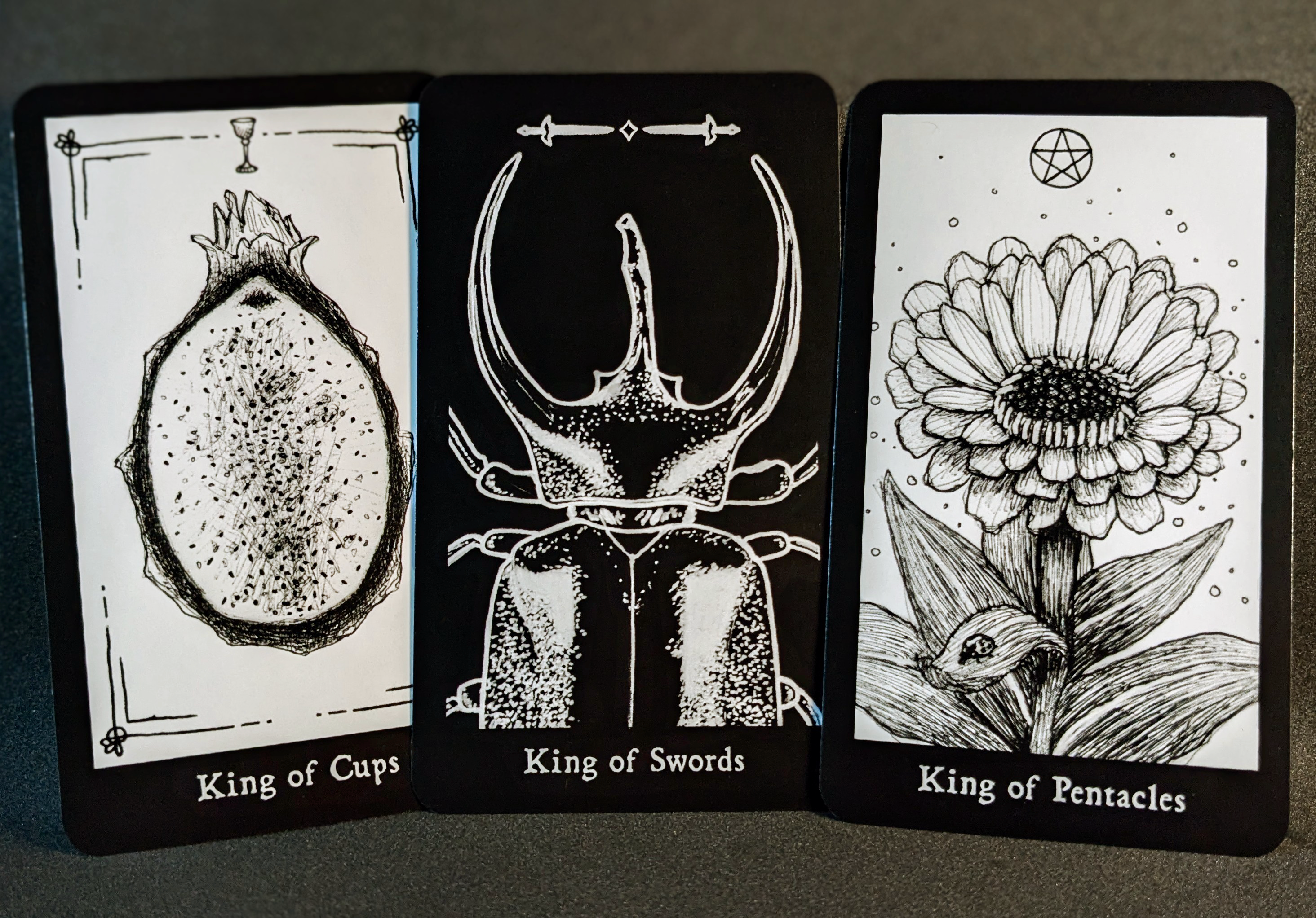 Hemiptarot - The Insect Tarot Deck | Kickstarter Leftover Stock!