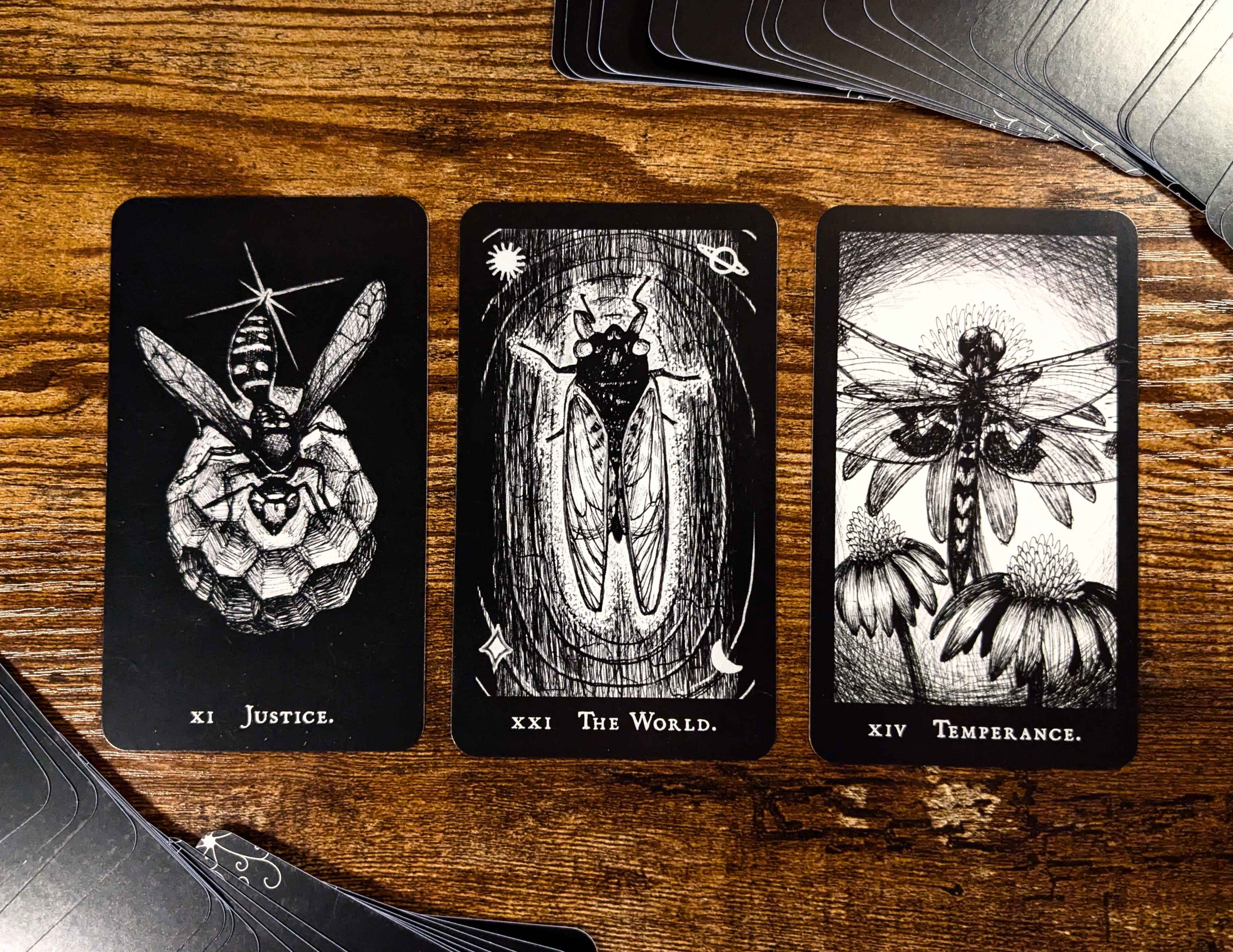 Hemiptarot - The Insect Tarot Deck | Kickstarter Leftover Stock!