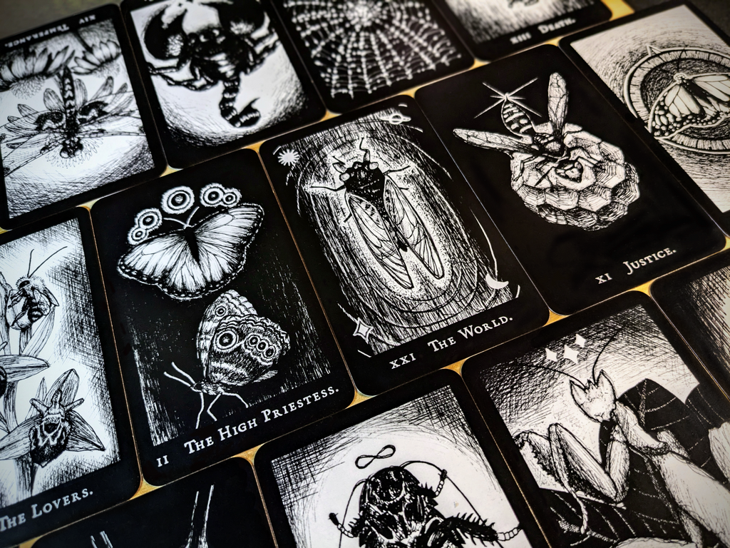 Hemiptarot - The Insect Tarot Deck | Kickstarter Leftover Stock!