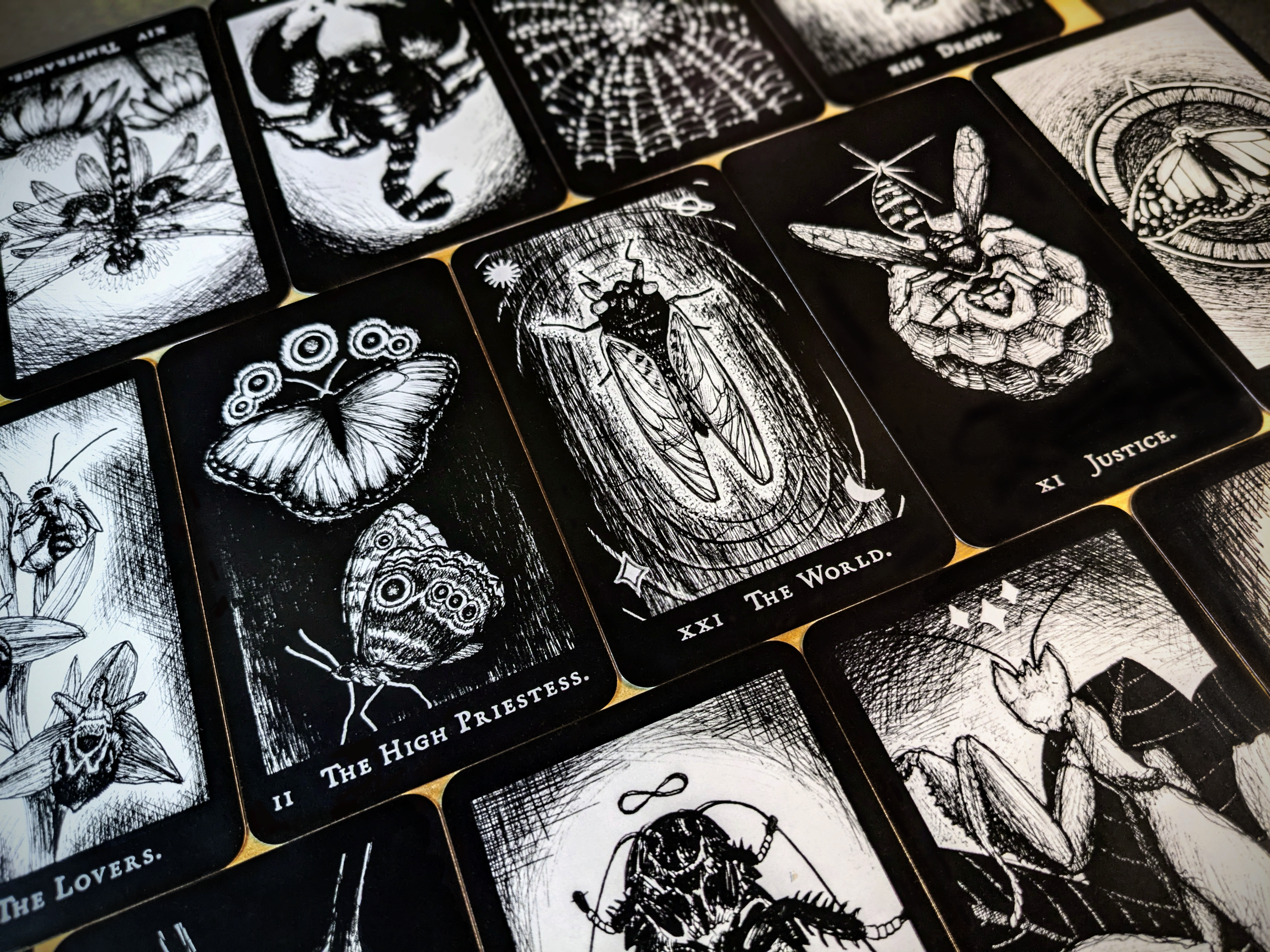Hemiptarot - The Insect Tarot Deck | Kickstarter Leftover Stock!