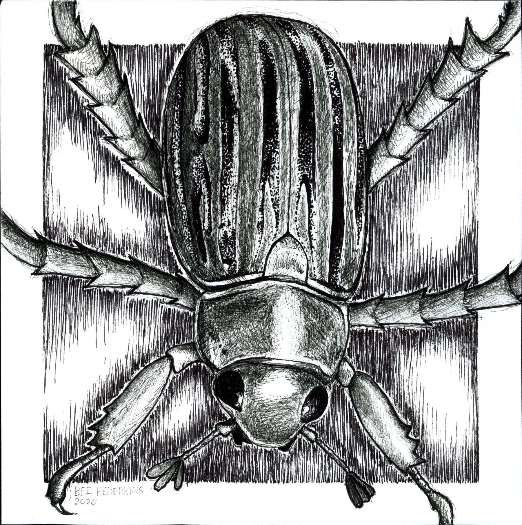 Glorious Scarab Beetle - 6"x6" Print