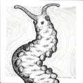Velvet Worm - 6"x6" Print