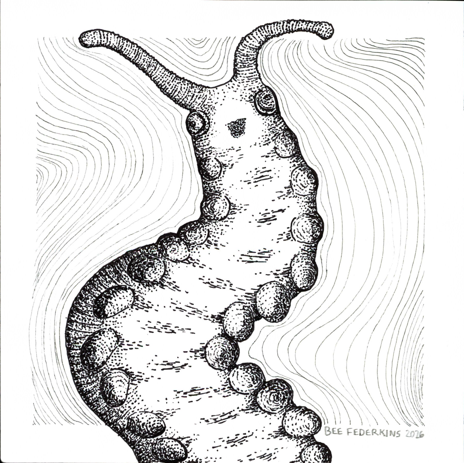 Velvet Worm - 6"x6" Print